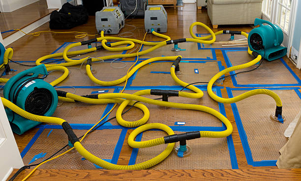Professional Basement Flood Cleanup technician working in Addyston, OH